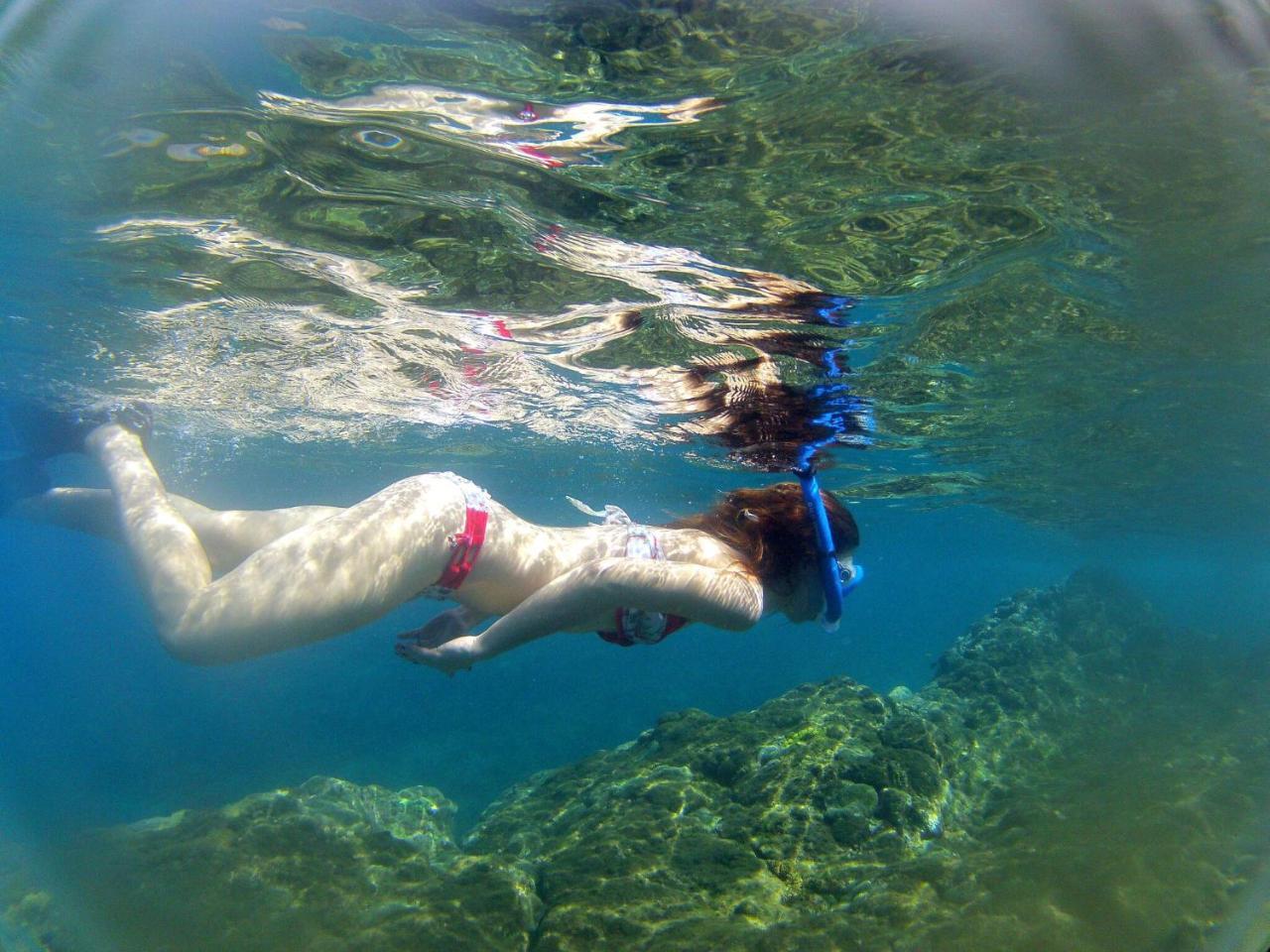 Jungle Bay Dominica 호텔 Soufriere 외부 사진